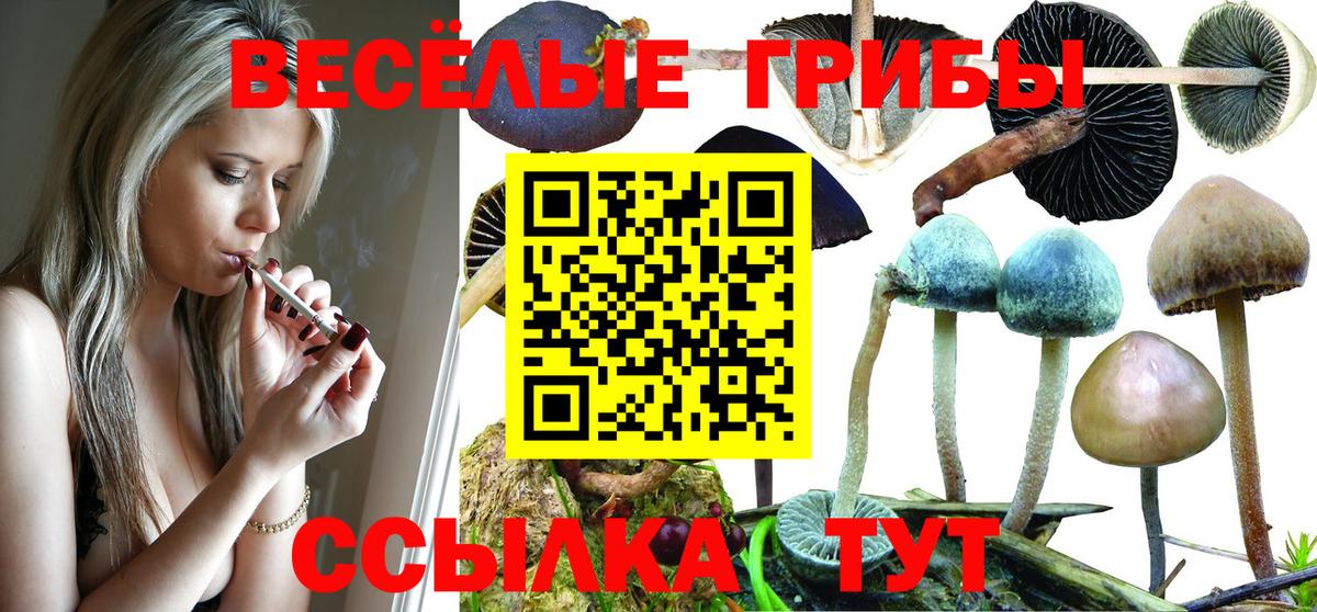 Галлюциногенные грибы Magic Shrooms Похвистнево