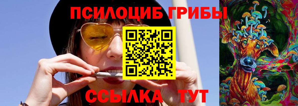 Галлюциногенные грибы MAGIC MUSHROOMS  Псилоцибиновые грибы Magic Shrooms  Похвистнево  Вход с VPN 